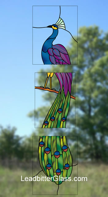 Stained Glass Peacock Feature Window