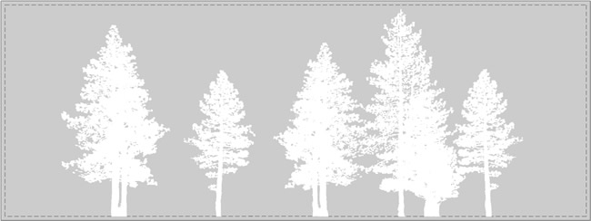 etched-glass-pine-trees