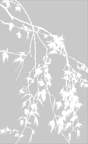 etched-glass-drooping-tree-branches