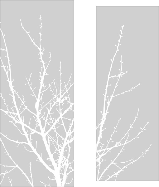 tree-branch-shadows