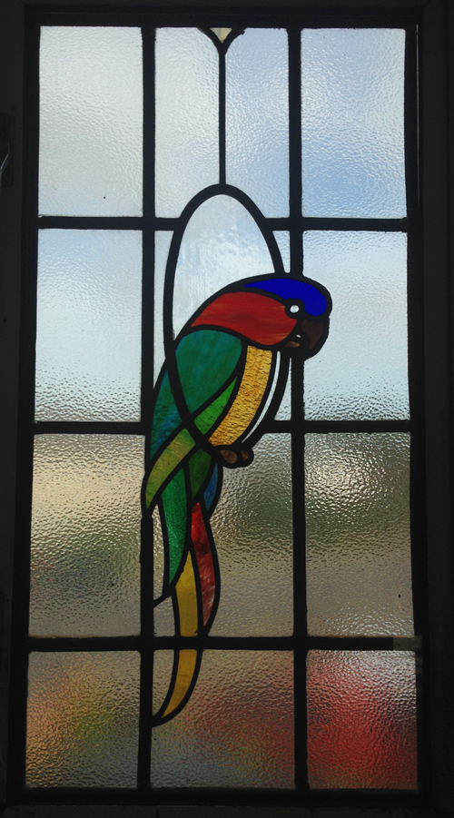 stained glass parrot