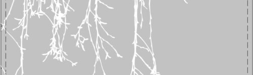 Etched Glass Tree Branches Dangling Down on an etched glass background